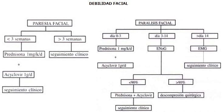 Debilidad facial