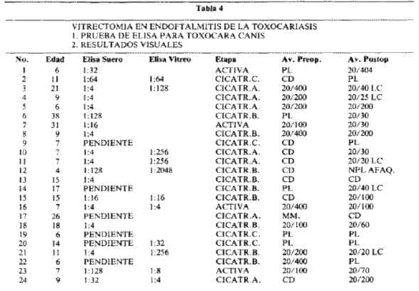 Vitrectomia endoftalmitis