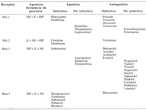 Selectividad de los agonistas y antagonistas