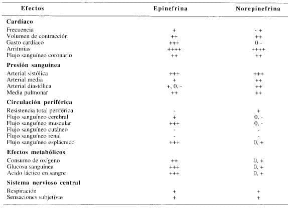 Infusión en el hombre