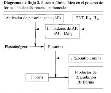 Sistema Fibrinolítico Sistema Fibrinolítico