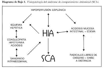 Fisiopatología del Sindrome de Compartimiento Abdominal