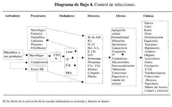 Control de infecciones Control de infecciones