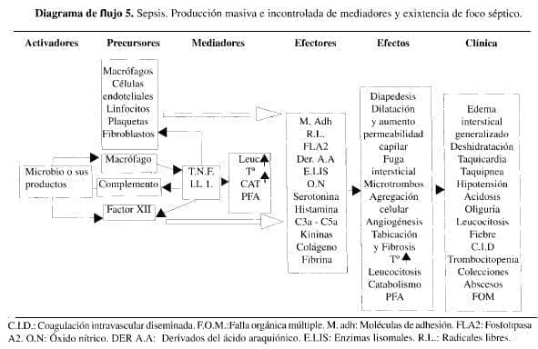 Inflamación, Sepsis Inflamación, Sepsis