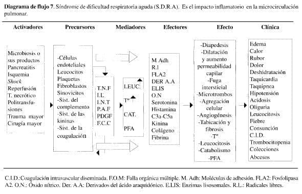 Síndrome de dificultad respiratoria aguda Síndrome de dificultad respiratoria aguda
