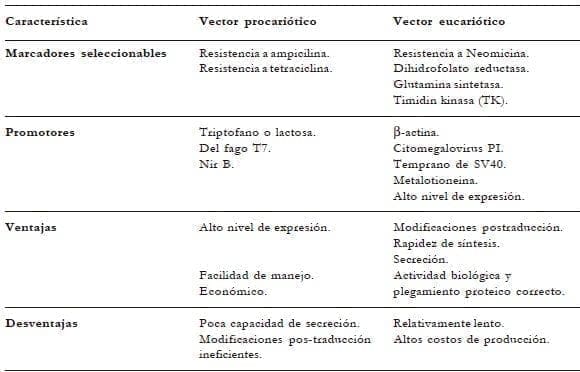 Vectores de expresión tanto procarióticos como eucarióticos