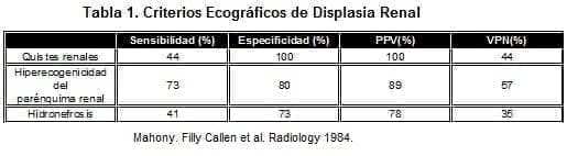 Criterios Ecográficos de Displasia Renal Criterios Ecográficos de Displasia Renal