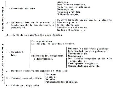 Asfixia Neo-Naturum
