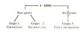 CADIS en lesiones de bajo grado y alto grado