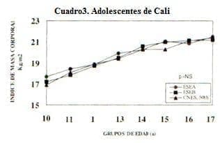 Adolescentes de Cali, grupos