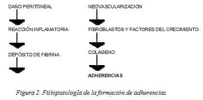 Daño Peritoneal