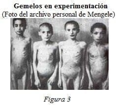 Gemelos en Experimentación