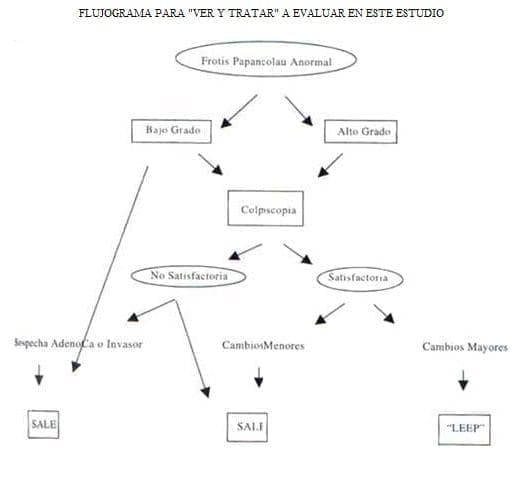 Flujograma para "Ver Y Tratar" a Evaluar en este Estudio