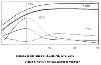Función Tiroidea durante el Embarazo