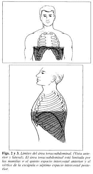 Límites del área Toracoabdominal