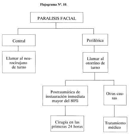 Parálisis Facial Parálisis Facial