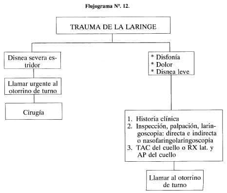 Trauma de la Laringe Trauma de la Laringe