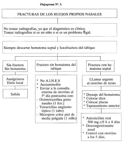 Fracturas de los Huesos Propios Nasales Fracturas de los Huesos Propios Nasales