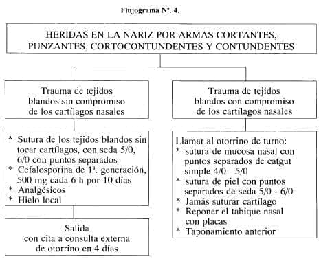 Heridas en la Nariz por Armas Cortantes Heridas en la Nariz por Armas Cortantes