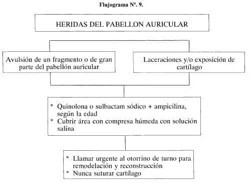 Heridas del Pabellón Auricular Heridas del Pabellón Auricular