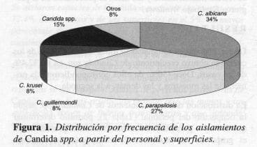 Distribución por frecuencia de los aislamientos de Candida spp