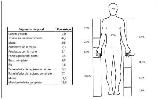 Peso corporal en el Compartimiento Proteico Somático Peso corporal en el Compartimiento Proteico Somático