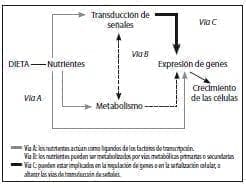 Papel de los nutrientes en las células, Revolución de la Nutrición Enteral 