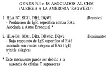 Alergia a la ambrosia