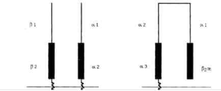 Cadenas de glicoproteínas