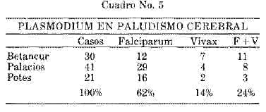 Plasmodium en Paludismo Cerebral