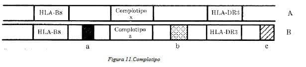 Complotipo Complotipo