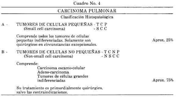 Carcinoma Pulmonar Clasificación Carcinoma Pulmonar Clasificación