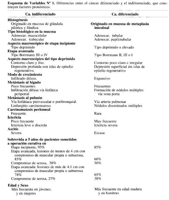 Diferencias entre el Cáncer Diferenciado y el Indiferenciado Diferencias entre el Cáncer Diferenciado y el Indiferenciado
