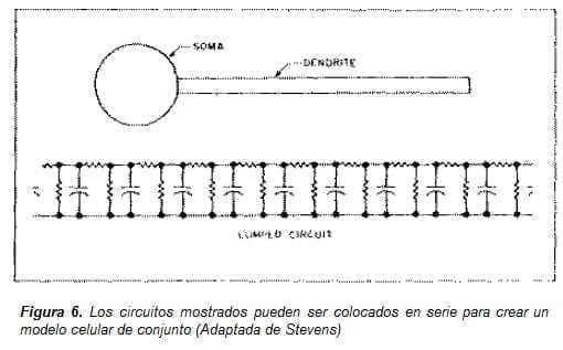 Modelo Celular de Conjunto