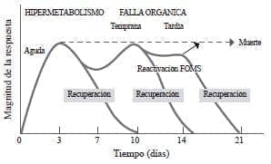 Respuesta metabólica al trauma
