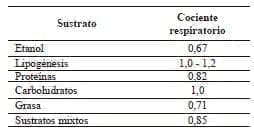 Sustrato energético