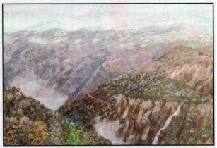 Contrastes, Revista de Cirugía