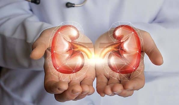 Trasplante Renal