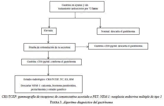 Algoritmo diagnóstico del gastrinoma