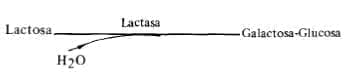 Galactosemia