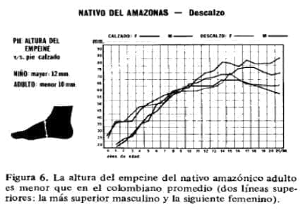 Altura del empeine nativo