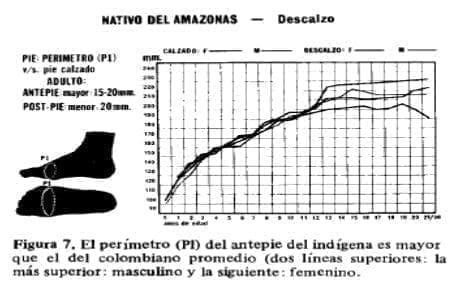 Antepie del indígena
