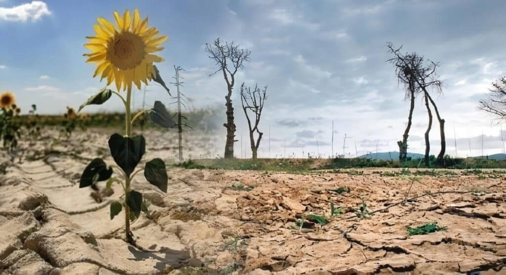 Historia Cambio Climático