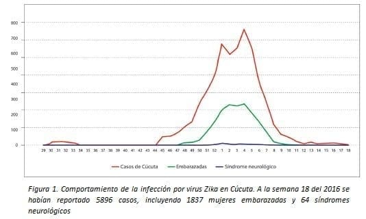 Comportamiento de la Infección por Virus Zika