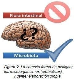 Correcta forma de Designar los Microorganismos