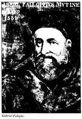 Gabriel Falopio
