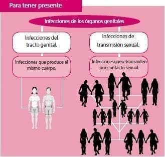 Infecciones Genitales Infecciones Genitales