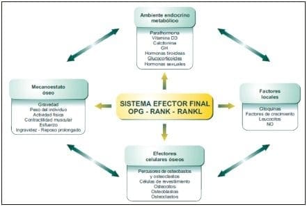 Teoría de la convergencia