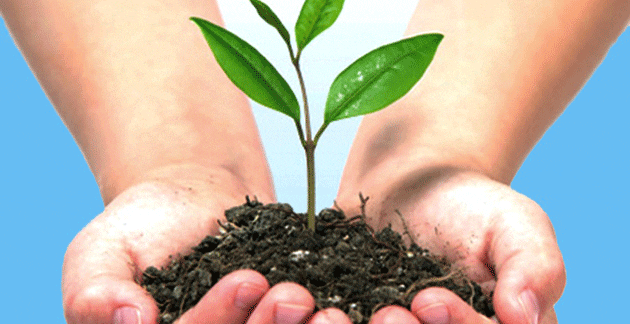 Cultura Ambiental