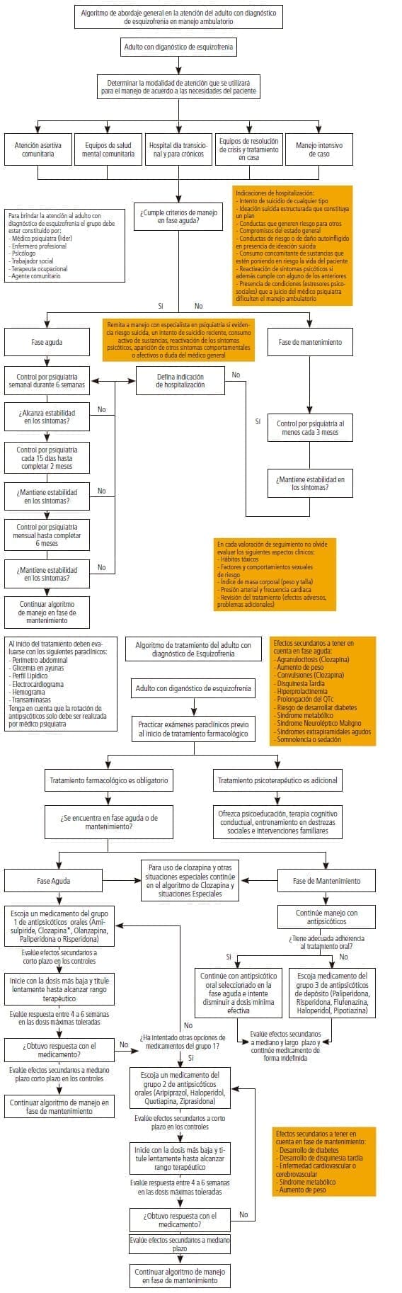 Atención del adulto con diagnóstico de esquizofrenia